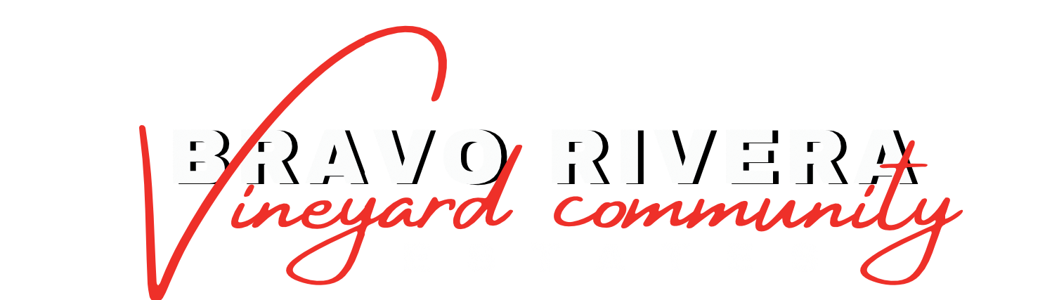 Bravo Rivera Vineyard Logo